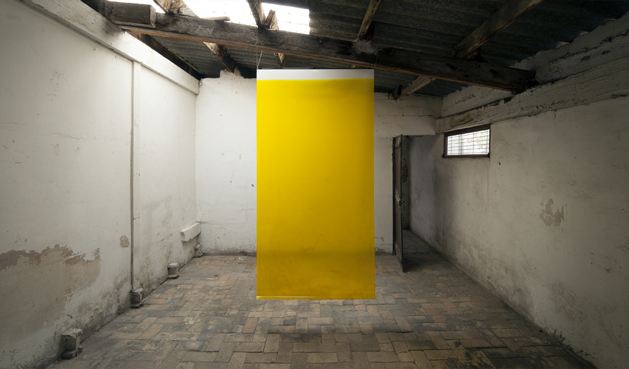 Yellow, from the series "4 litros"