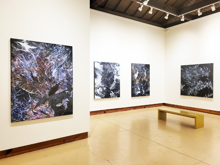 installation view of JAKOB DWIGHT: A TRILLION VERSES at the Wiregrass Museum of Art