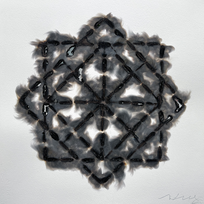 Melissa Vandenberg "Hybrid Mosaic"