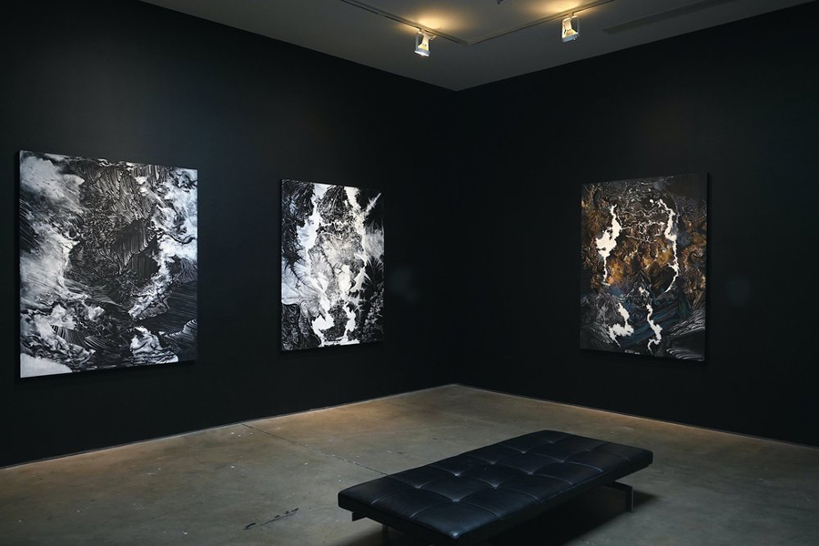 installation view of the exhibition "Digital Combines" at Honor Fraser gallery in Los Angeles - photograph by Betsy Martinez